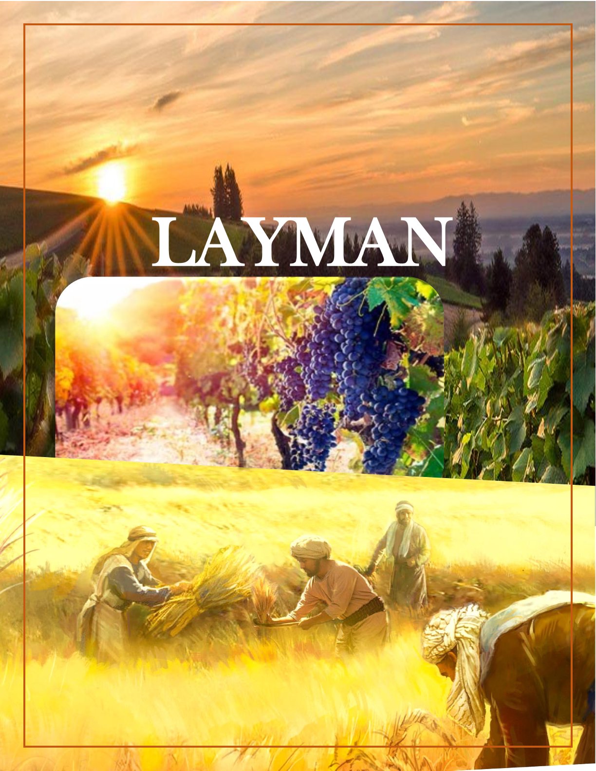 cover of Layman